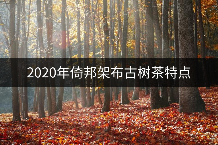 2020年倚邦架布古樹茶特點 2020年倚邦架布古樹茶特點