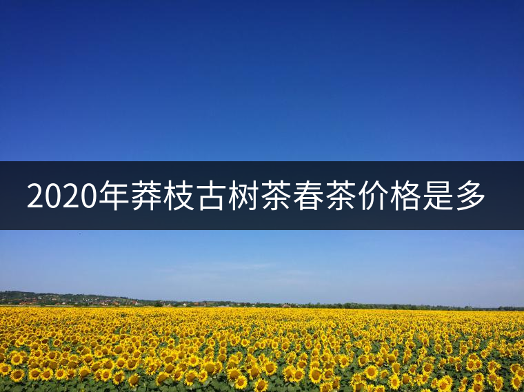 2020年莽枝古樹(shù)茶春茶價(jià)格是多少錢(qián)？