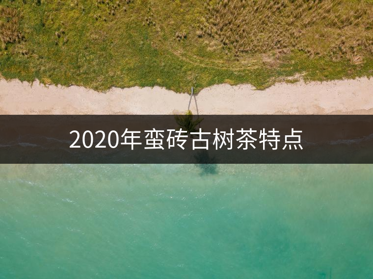 2020年蠻磚古樹(shù)茶特點(diǎn)