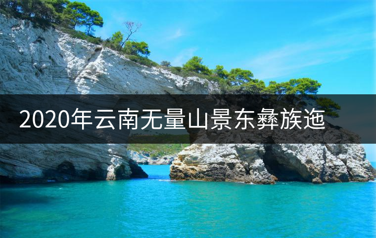 2020年云南無量山景東彝族迤倉古樹普洱茶 2020年云南無量山景東彝族迤倉古樹普洱茶