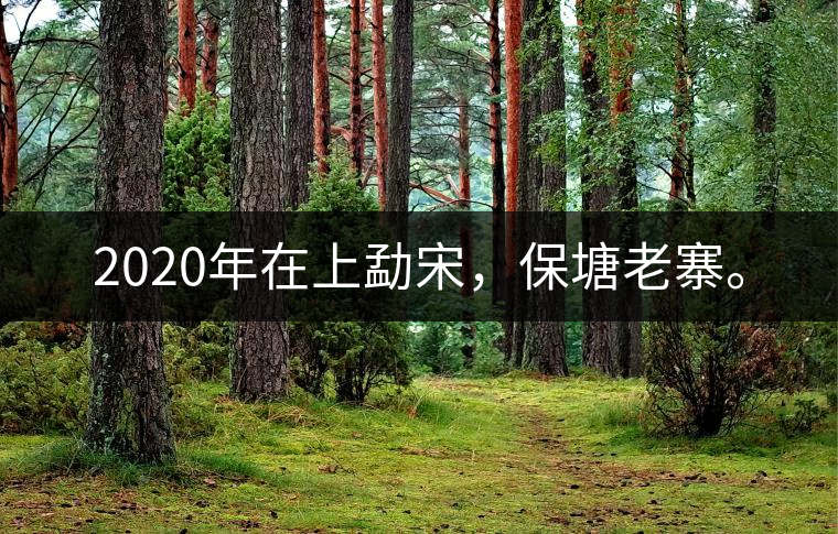 2020年在上勐宋，保塘老寨。