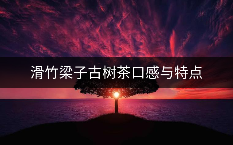 滑竹梁子古樹茶口感與特點 滑竹梁子古樹茶口感與特點