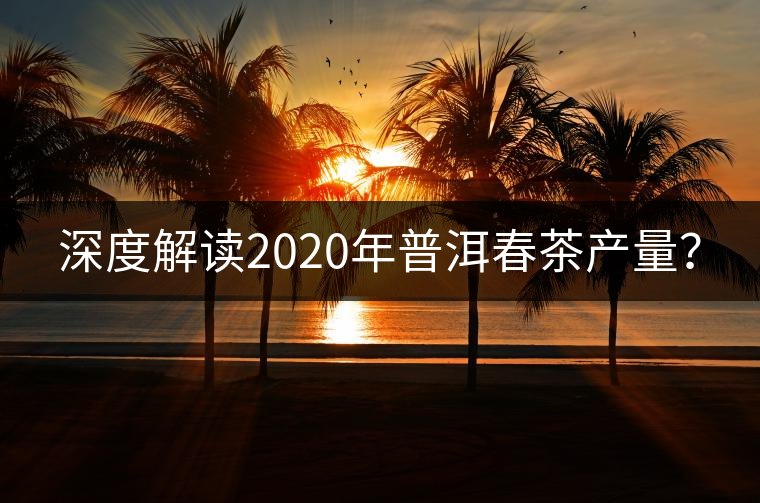 深度解讀2020年普洱春茶產(chǎn)量？