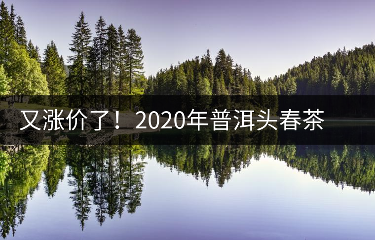又漲價(jià)了！2020年普洱頭春茶同比減產(chǎn)50%，導(dǎo)致微小區(qū)域價(jià)格上浮