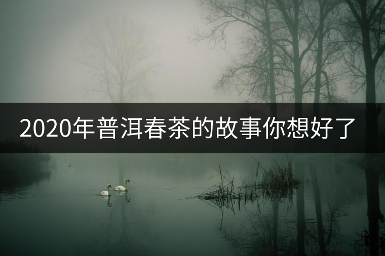 2020年普洱春茶的故事你想好了嗎？