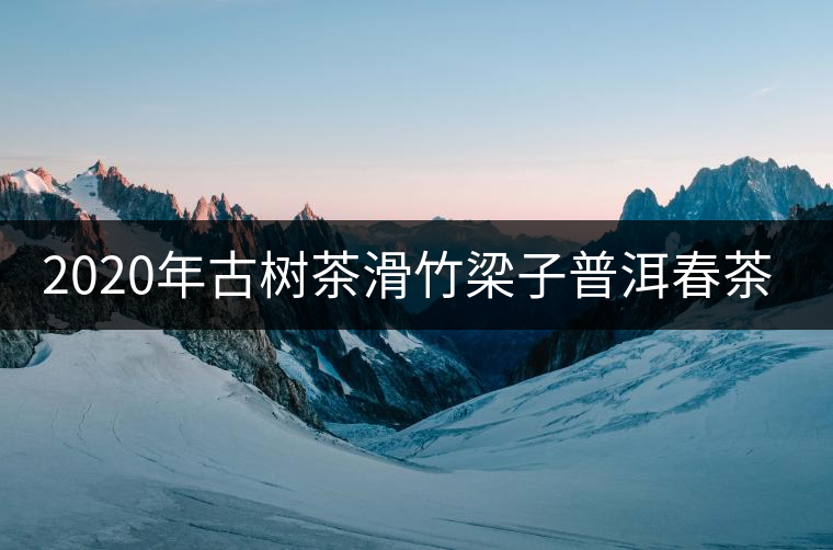 2020年古樹茶滑竹梁子普洱春茶價(jià)格 2020年古樹茶滑竹梁子普洱春茶價(jià)格