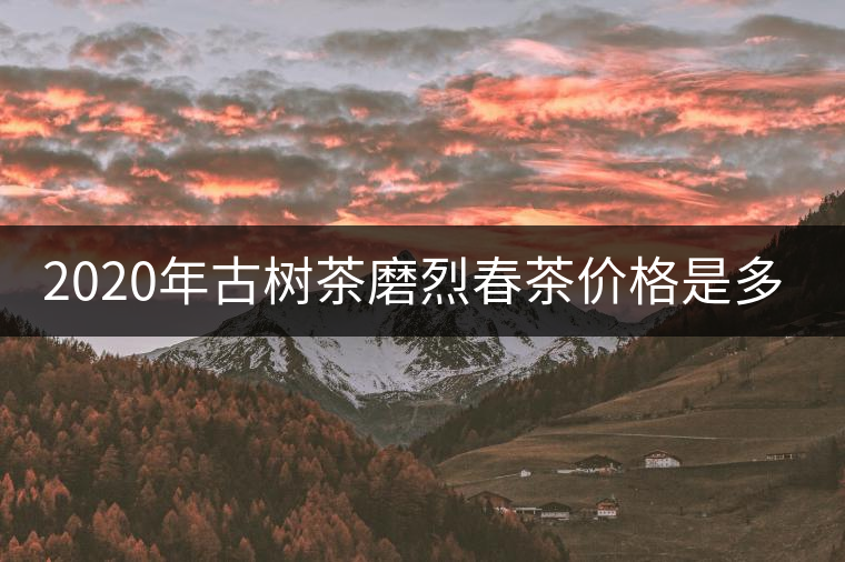 2020年古樹茶磨烈春茶價(jià)格是多少？