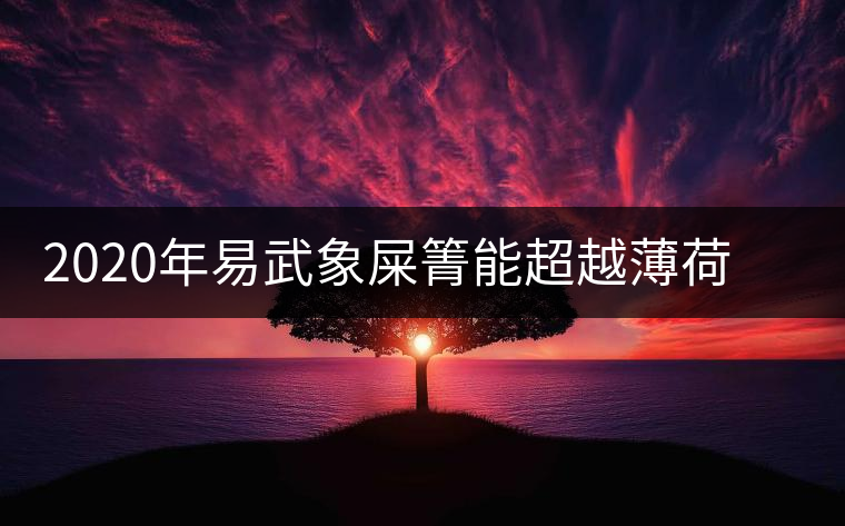 2020年易武象屎箐能超越薄荷塘，比肩哆依樹高桿嗎？