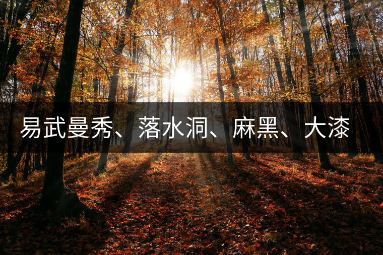 易武曼秀、落水洞、麻黑、大漆樹(shù)等你更喜歡哪個(gè)茶？