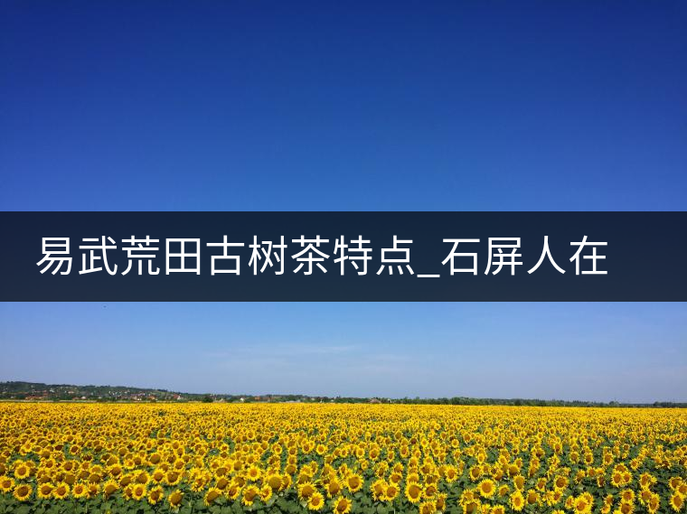 易武荒田古樹茶特點_石屏人在荒田以茶為生 易武荒田古樹茶特點_石屏人在荒田以茶為生