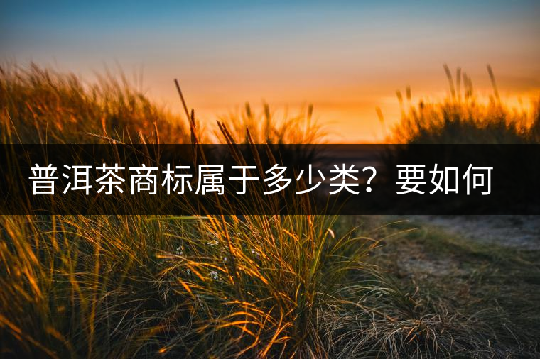 普洱茶商標屬于多少類？要如何注冊