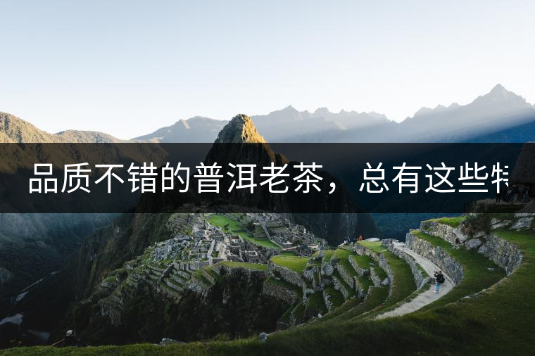 品質(zhì)不錯的普洱老茶，總有這些特點！