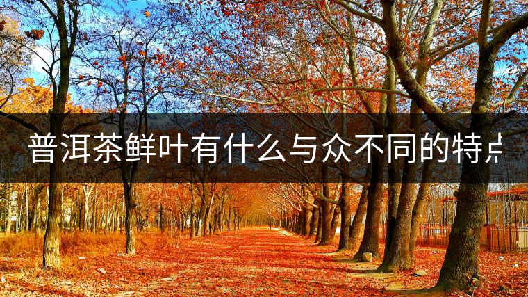 普洱茶鮮葉有什么與眾不同的特點(diǎn)？