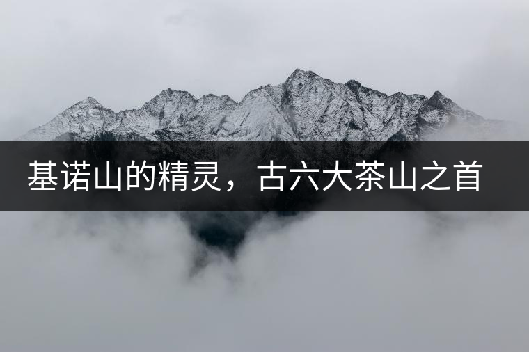 基諾山的精靈，古六大茶山之首武侯遺種攸樂(lè)古樹(shù)茶