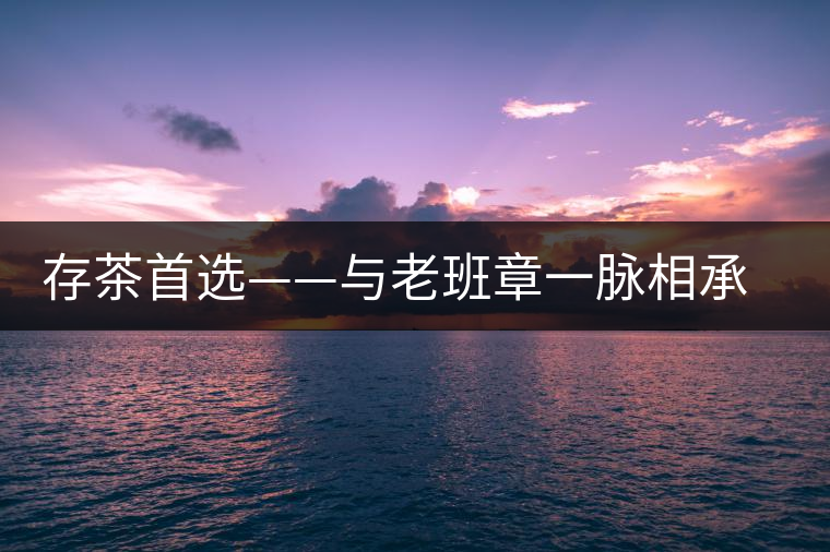 存茶首選——與老班章一脈相承的帕真古樹茶