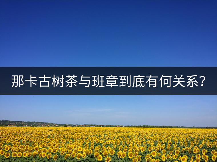 那卡古樹茶與班章到底有何關系？