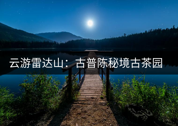 云游雷達山：古普陳秘境古茶園，品第一杯春鮮