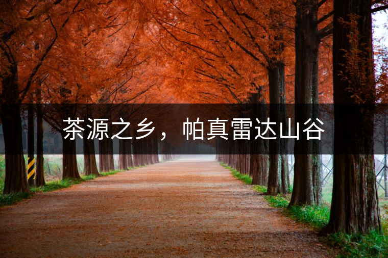 茶源之鄉(xiāng)，帕真雷達(dá)山谷