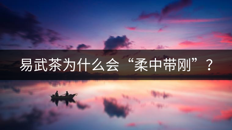 易武茶為什么會“柔中帶剛”？