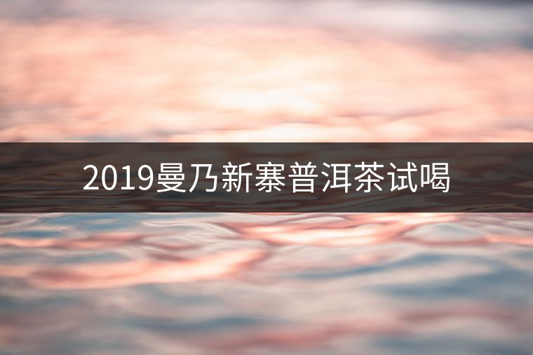 2019曼乃新寨普洱茶試喝