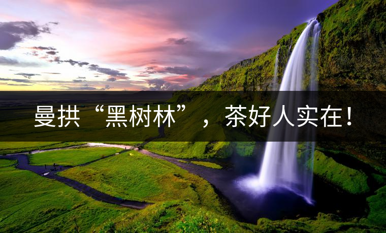 曼拱“黑樹林”，茶好人實在！
