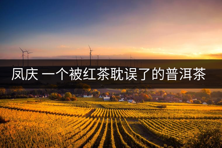 鳳慶 一個(gè)被紅茶耽誤了的普洱茶基地