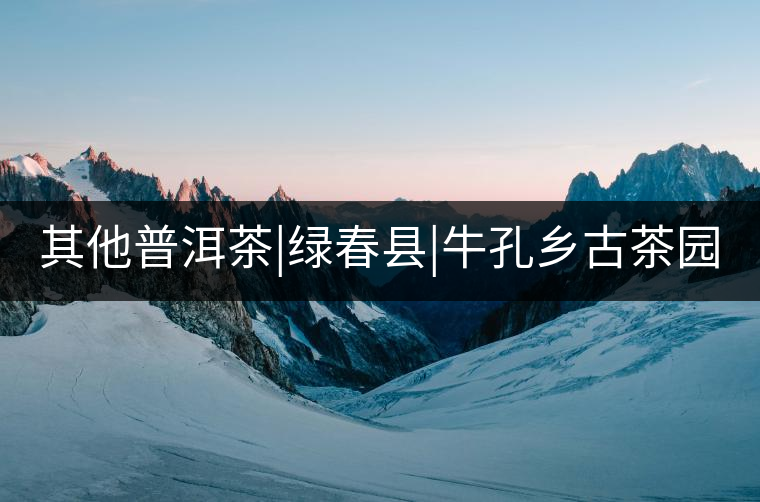 其他普洱茶|綠春縣|?？奏l(xiāng)古茶園