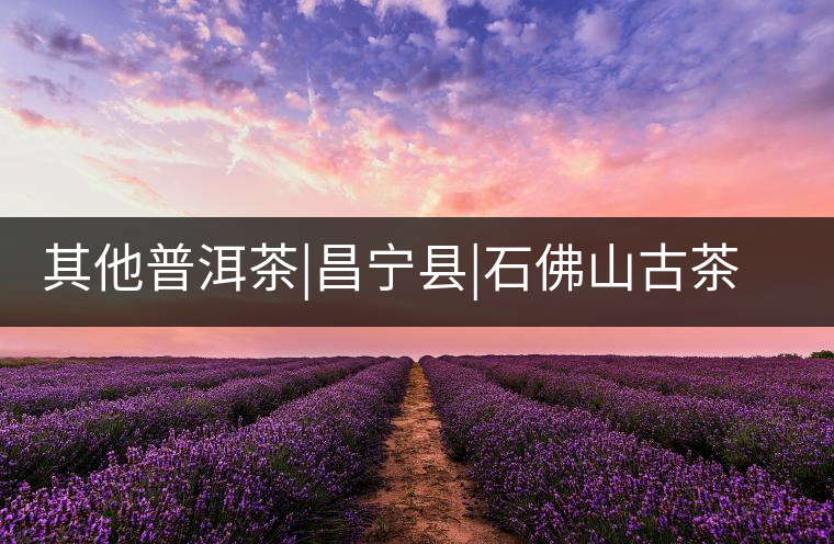 其他普洱茶|昌寧縣|石佛山古茶樹群