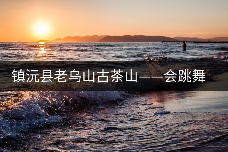 鎮(zhèn)沅縣老烏山古茶山——會(huì)跳舞的古茶樹(shù) 鎮(zhèn)沅縣老烏山古茶山——會(huì)跳舞的古茶樹(shù)