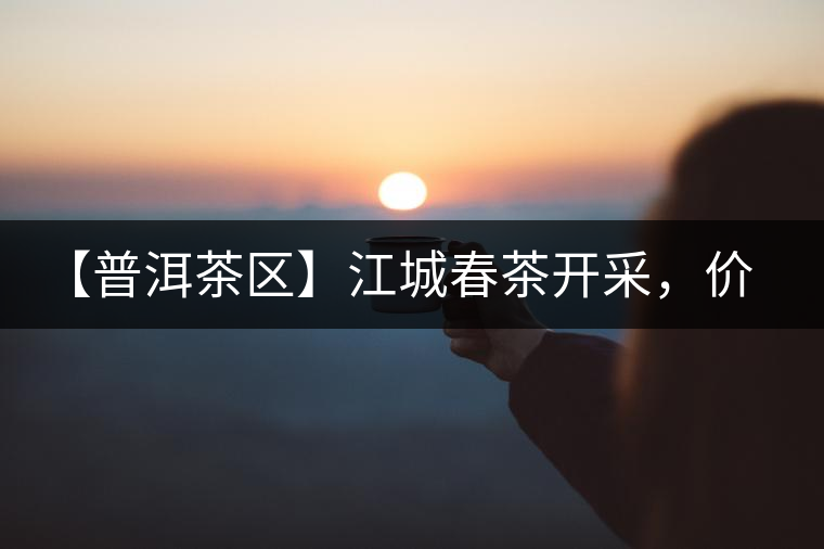 【普洱茶區(qū)】江城春茶開采,價格漲幅小 【普洱茶區(qū)】江城春茶開采,價格漲幅小