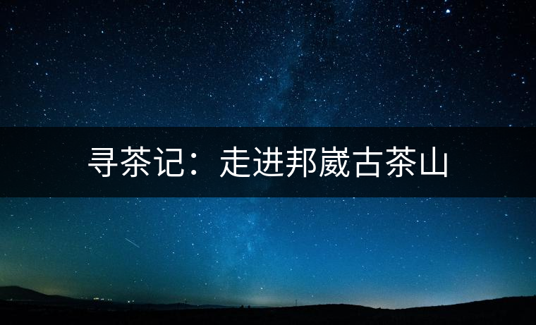 尋茶記:走進邦崴古茶山 尋茶記:走進邦崴古茶山