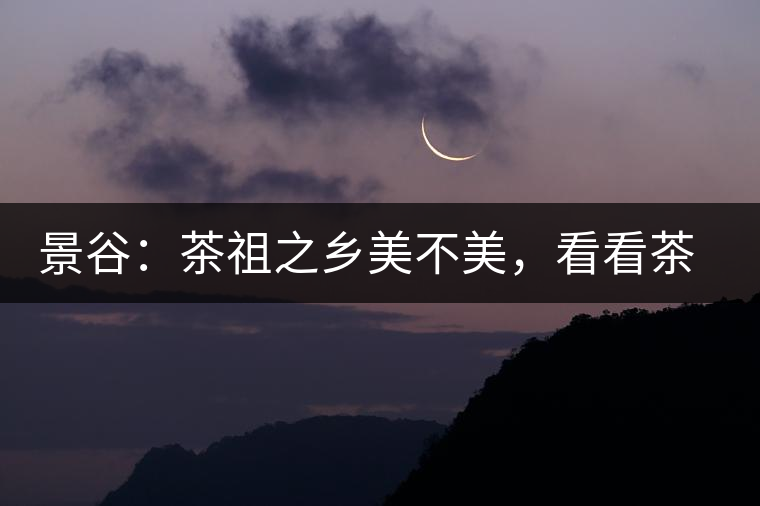 景谷：茶祖之鄉(xiāng)美不美，看看茶山和美人