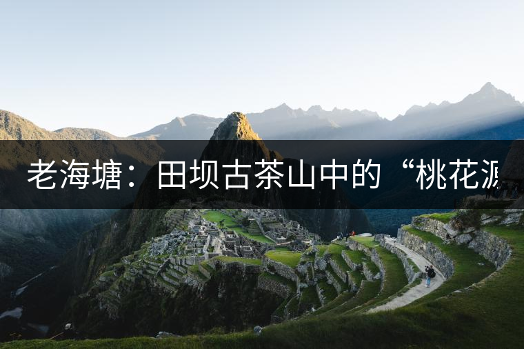 老海塘：田壩古茶山中的“桃花源”