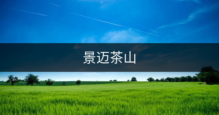 景邁茶山 景邁茶山