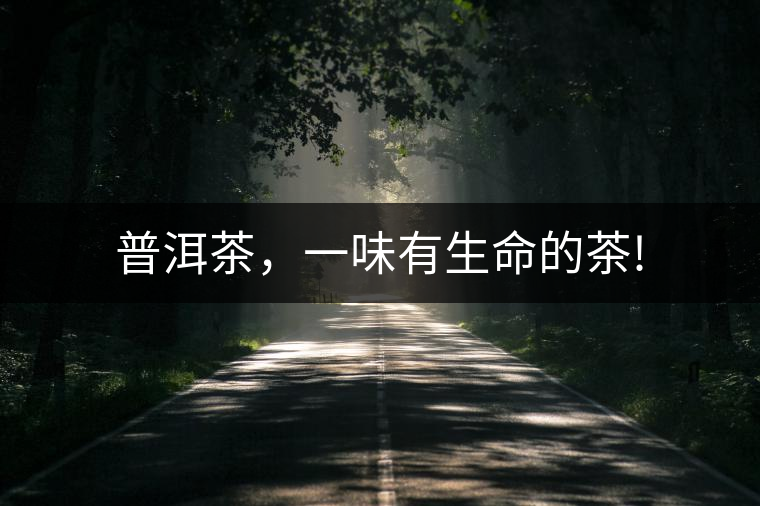 普洱茶，一味有生命的茶!