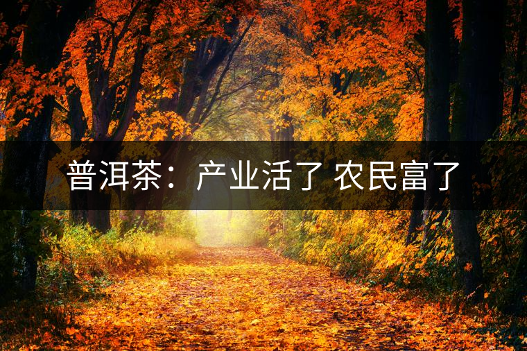 普洱茶：產(chǎn)業(yè)活了 農(nóng)民富了