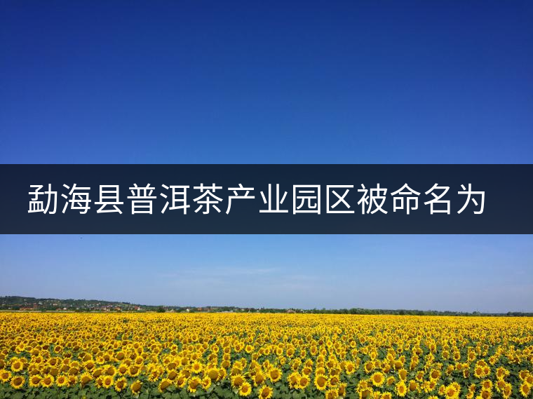 勐?？h普洱茶產(chǎn)業(yè)園區(qū)被命名為 