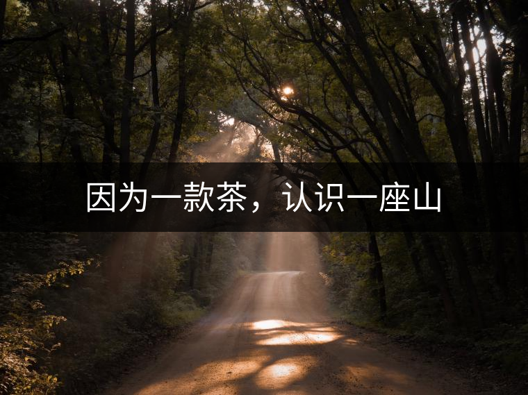 因?yàn)橐豢畈?，認(rèn)識(shí)一座山