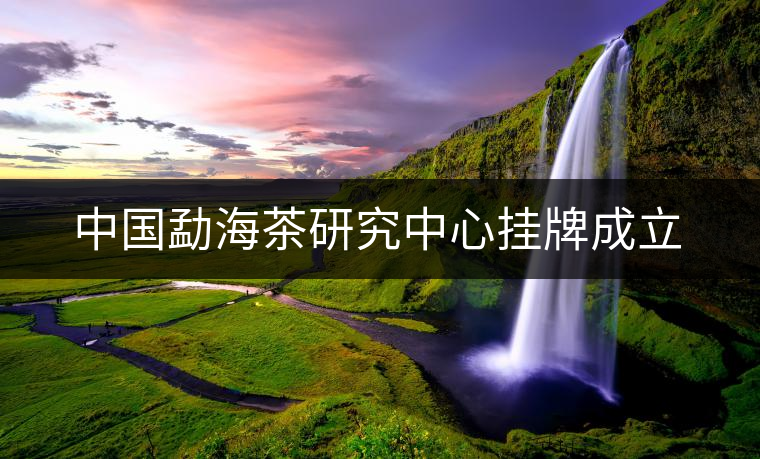 中國勐海茶研究中心掛牌成立 中國勐海茶研究中心掛牌成立