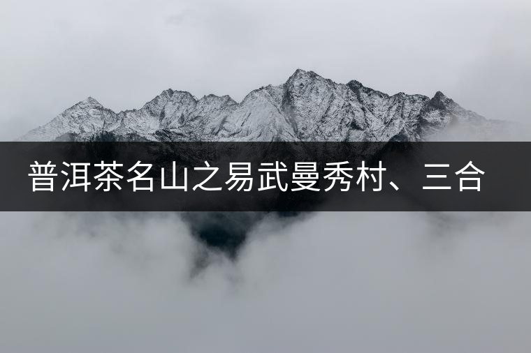 普洱茶名山之易武曼秀村、三合社村