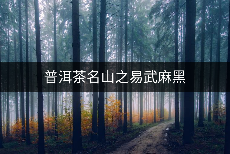 普洱茶名山之易武麻黑