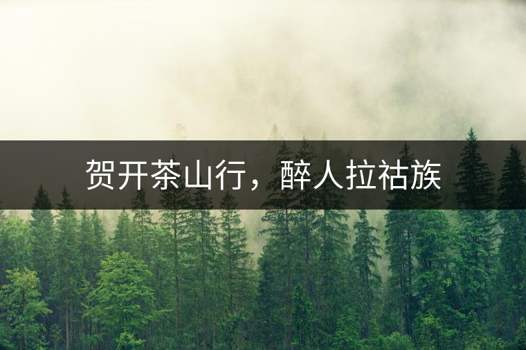 賀開茶山行，醉人拉祜族