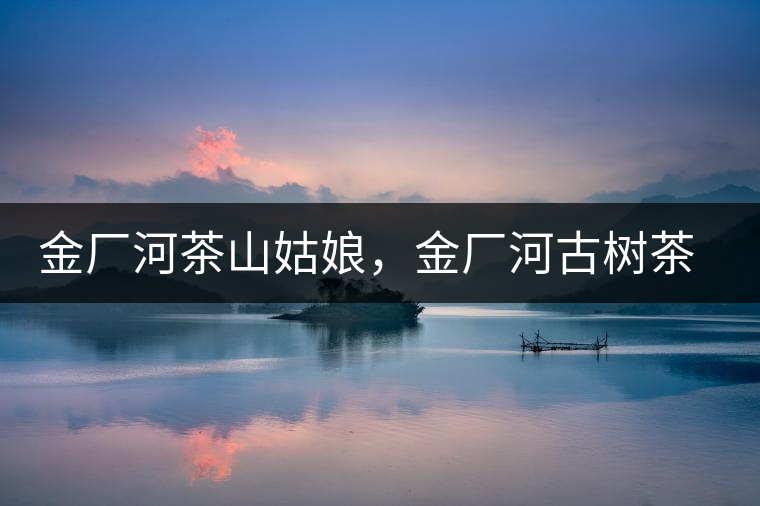 金廠河茶山姑娘,金廠河古樹茶特點(diǎn)與價(jià)格 金廠河茶山姑娘,金廠河古樹茶特點(diǎn)與價(jià)格