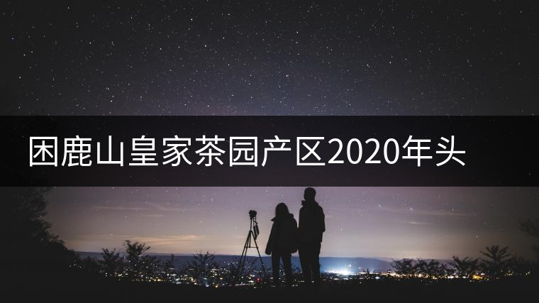 困鹿山皇家茶園產(chǎn)區(qū)2020年頭春古樹，白花林口感特點(diǎn)