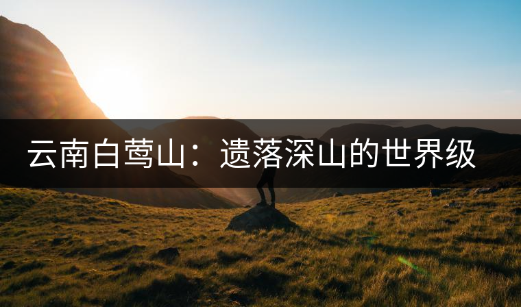 云南白鶯山:遺落深山的世界級“茶博物館” 云南白鶯山:遺落深山的世界級“茶博物館”