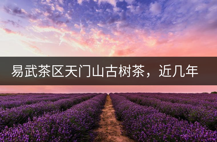 易武茶區(qū)天門(mén)山古樹(shù)茶，近幾年的熱門(mén)山頭