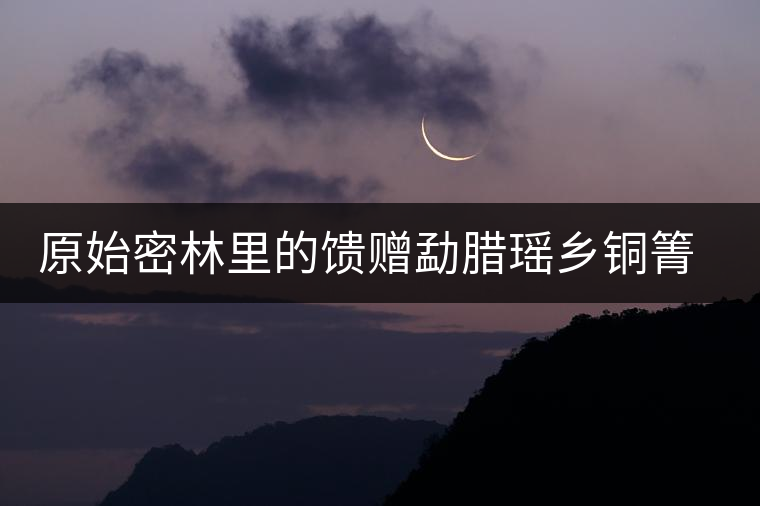 原始密林里的饋贈勐臘瑤鄉(xiāng)銅箐河古樹茶