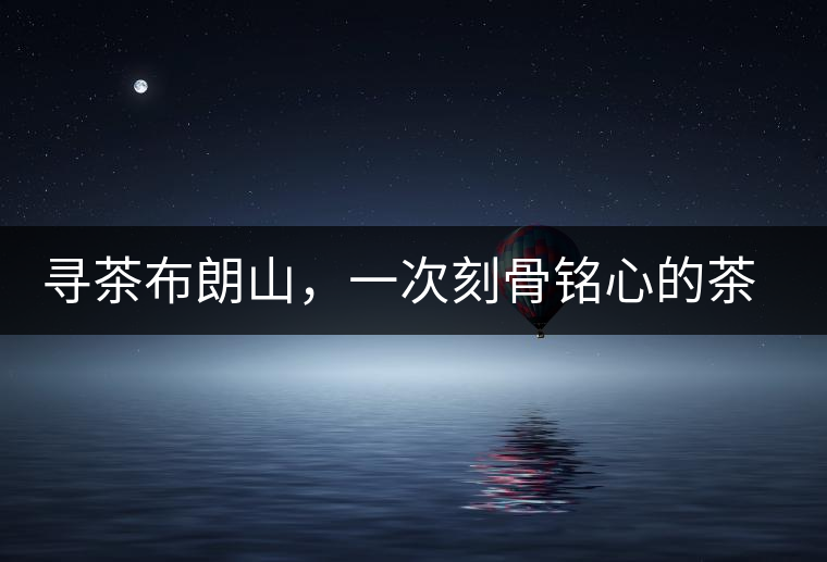 尋茶布朗山，一次刻骨銘心的茶山行