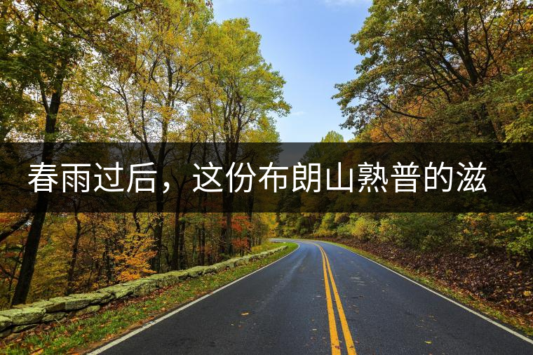 春雨過后，這份布朗山熟普的滋味正當(dāng)時