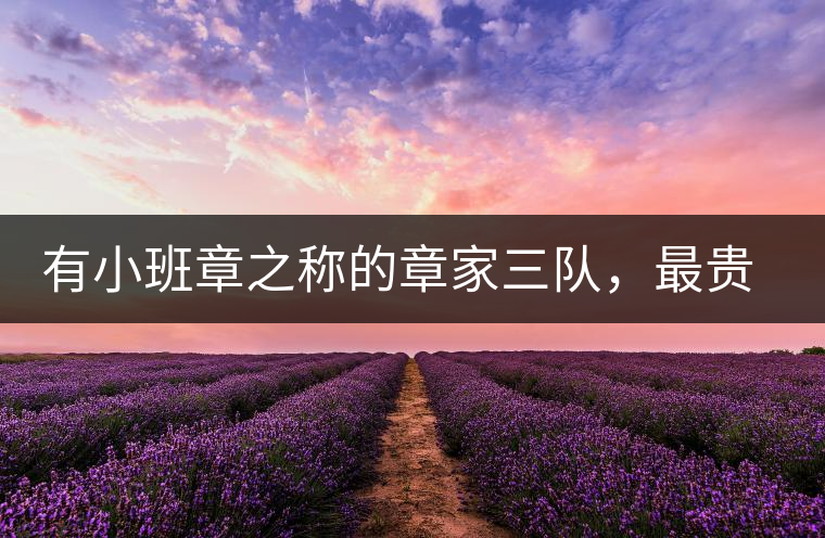 有小班章之稱的章家三隊(duì)，最貴的小樹(shù)茶